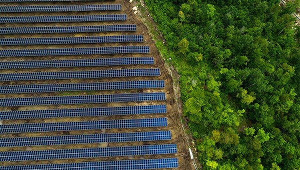 Aerial view of solar panels and trees