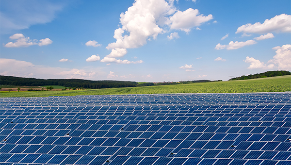 Solar farm with solar panels