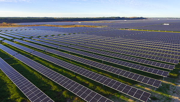 Solar panel farm on farmland