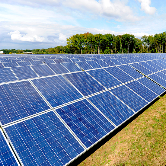 Solar panel farm with green trees and blue sky in the background