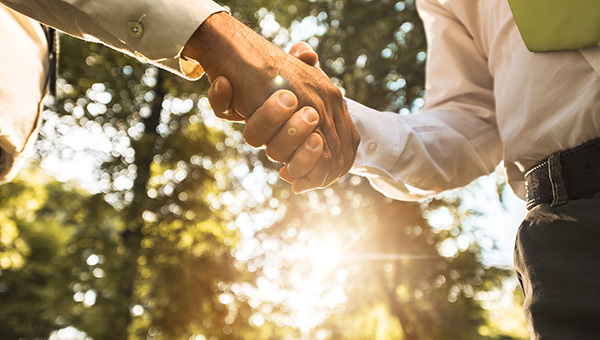 Business people shaking hands with trees in the background