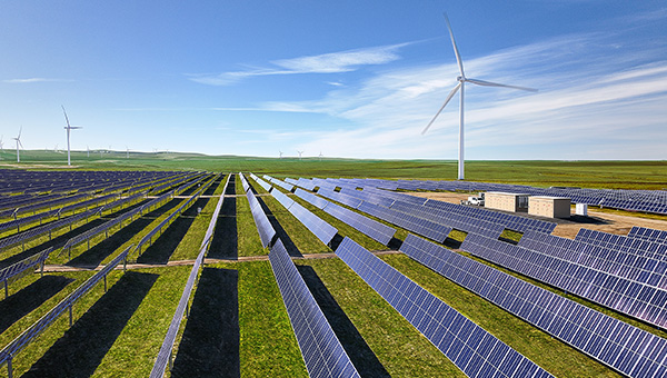 Solar farm with a wind turbine