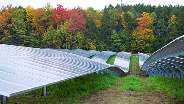 Solar panels with fall trees