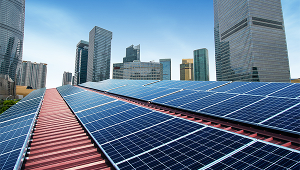 Solar farm with tall buildings in background