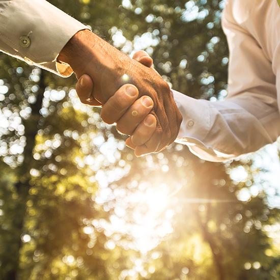 Business men shaking hands in nature discussing our approach