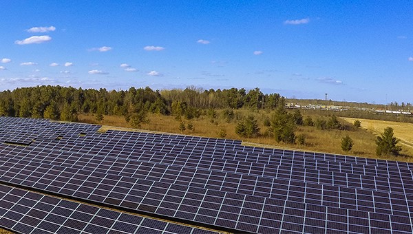 Solar panels in foreground, trees and blue sky in background