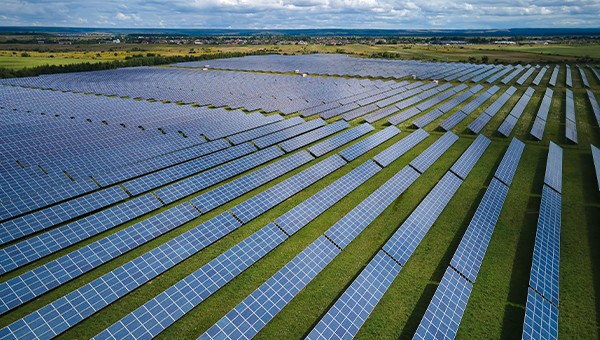 Solar farm with solar panels