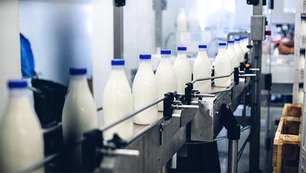 milk bottles in a line in a production facility