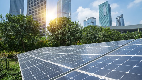 Solar farm with tall buildings in background